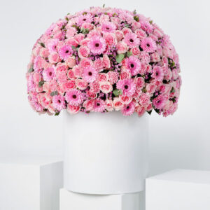 Royale Coraline Hatbox