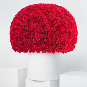 Red Roses Hatbox