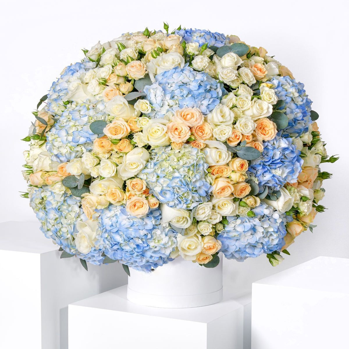 Alva Hatbox
