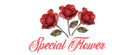 The Special Flower